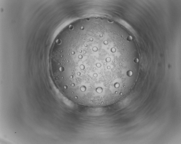 X0000060761431200511241717