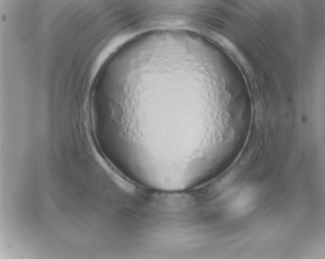 X0000060761432200511241717