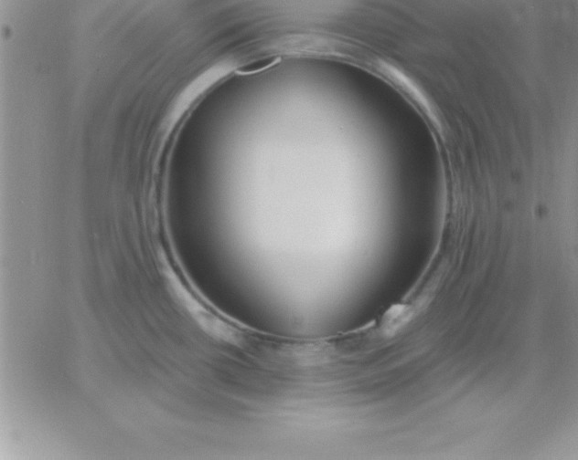 X0000060761434200511241717