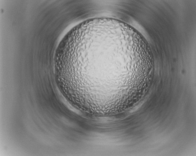 X0000060761436200511241717