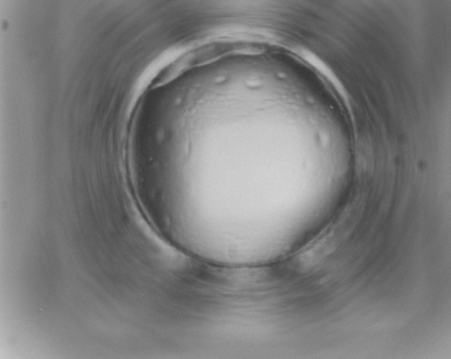 X0000060761437200511241717