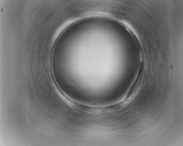 X0000060761438200511241717