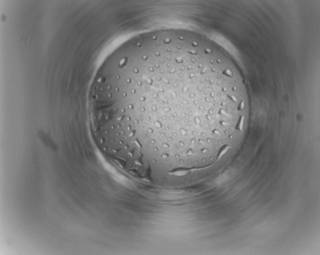 X0000060761439200511241717