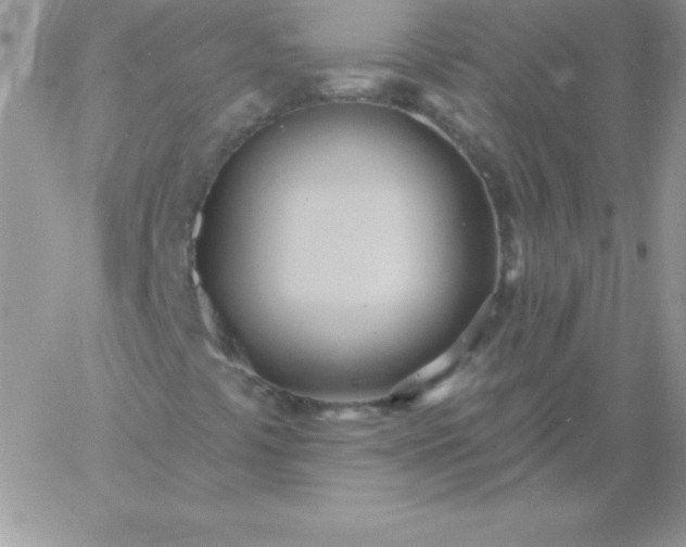 X0000060761441200511241716