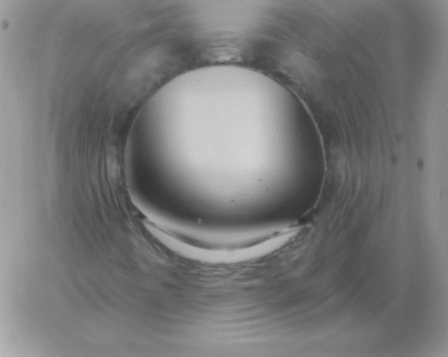 X0000060761442200511241716