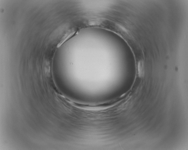 X0000060761443200511241716