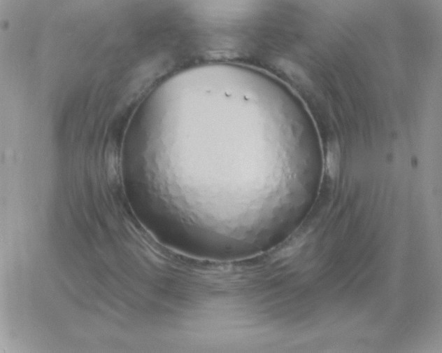 X0000060761444200511241716