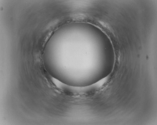 X0000060761445200511241716