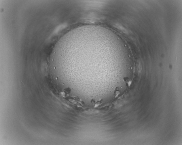 X0000060761446200511241716