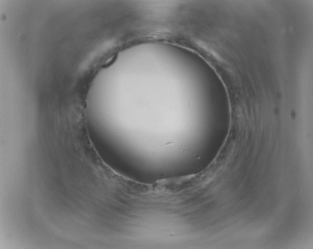 X0000060761447200511241716