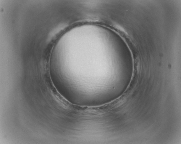 X0000060761448200511241716