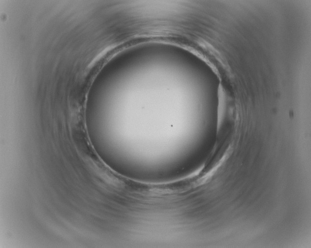 X0000060761449200511241716