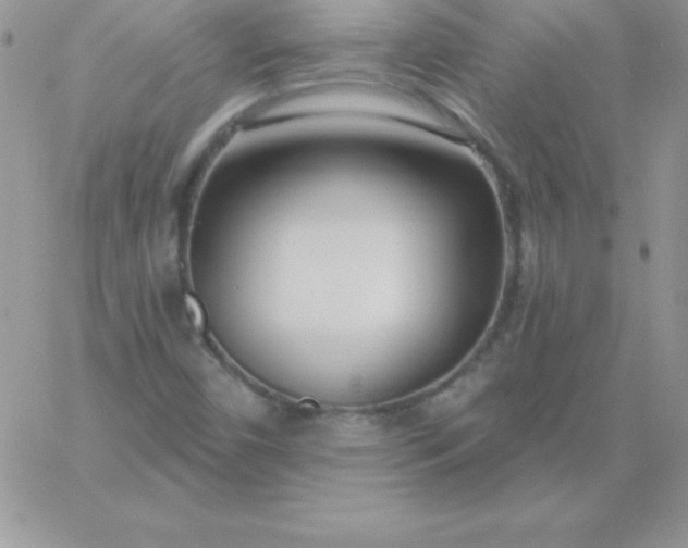 X0000060761450200511241716