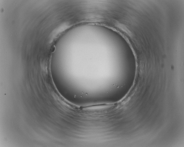 X0000060761451200511241716