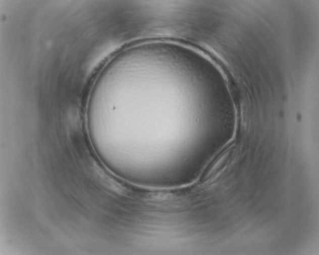 X0000060761452200511241716