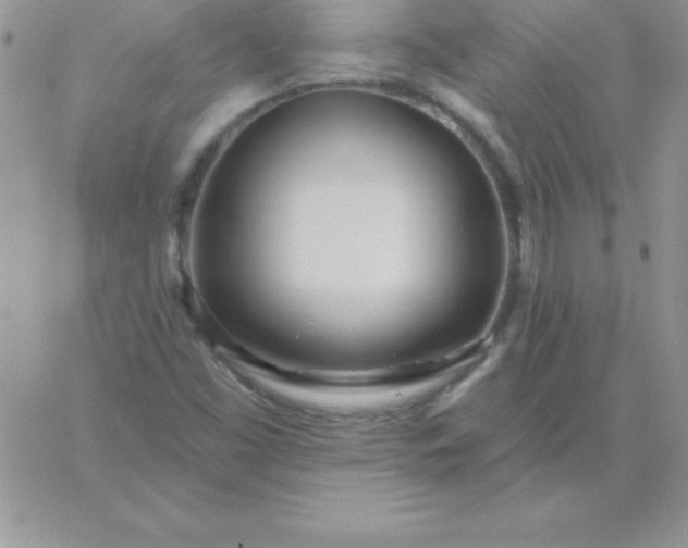 X0000060761453200511241716