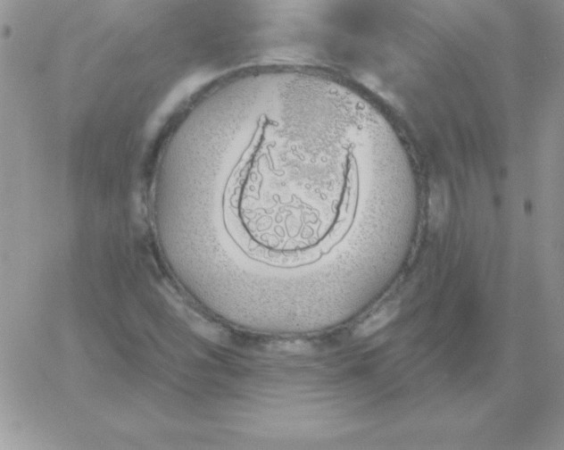 X0000060761454200511241716