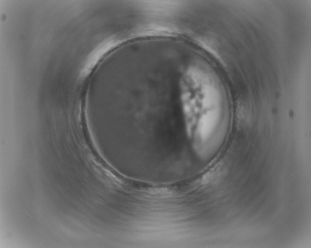 X0000060761455200511241716