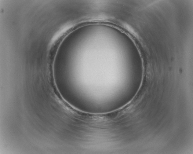 X0000060761456200511241716