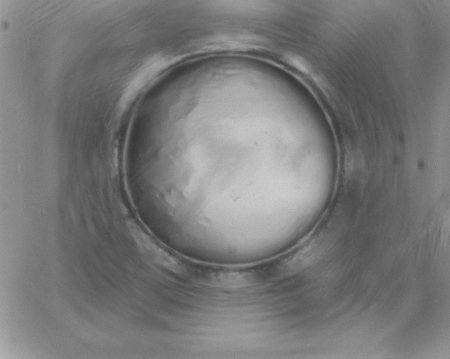 X0000060761459200511241716