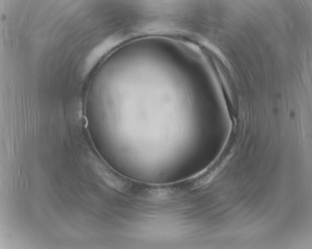 X0000060761461200511241716