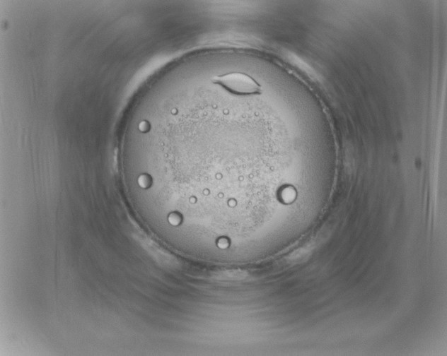 X0000060761462200511241716