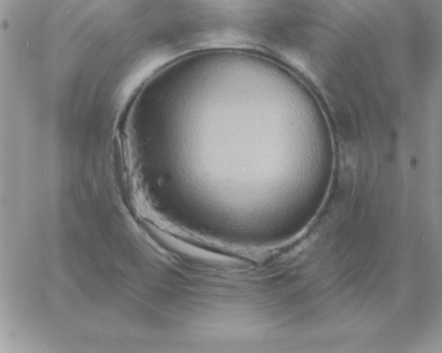 X0000060761463200511241716