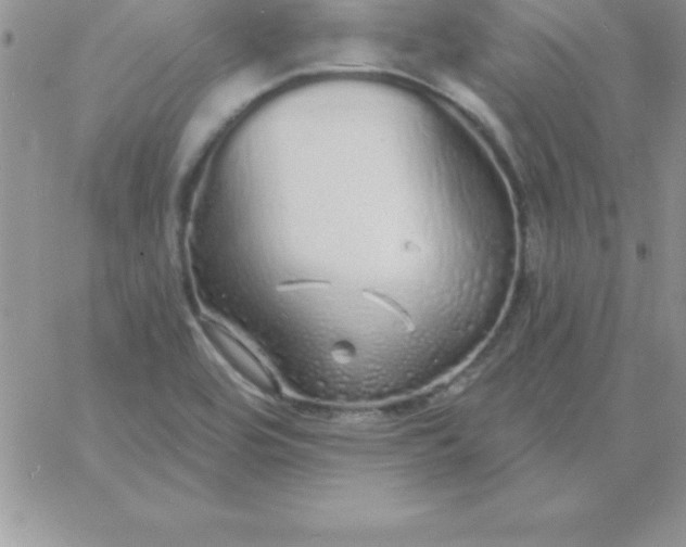 X0000060761464200511241716