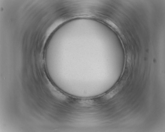 X0000060761466200511241716