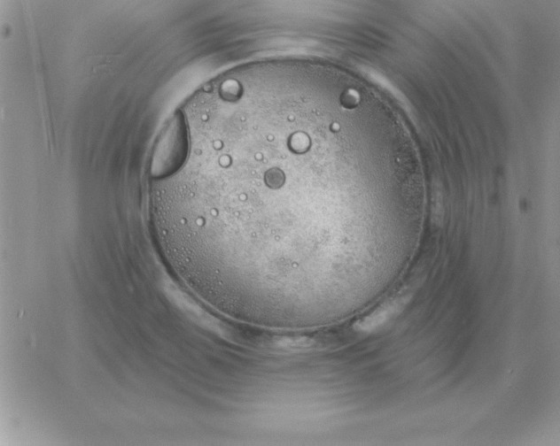 X0000060761467200511241716