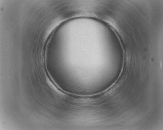 X0000060761468200511241716