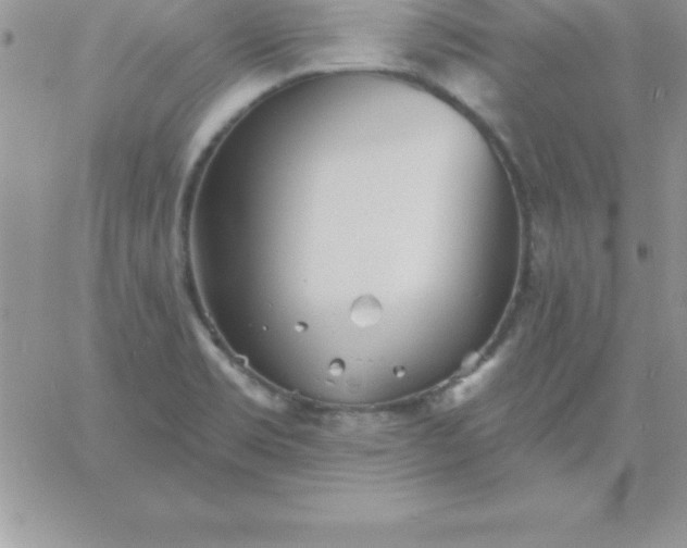 X0000060761469200511241716