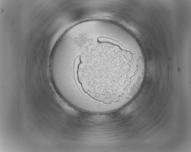 X0000060761470200511241716