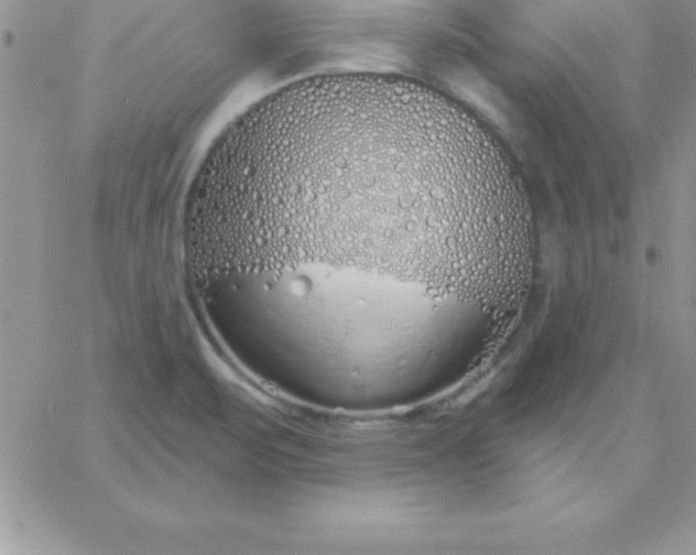 X0000060761471200511241716