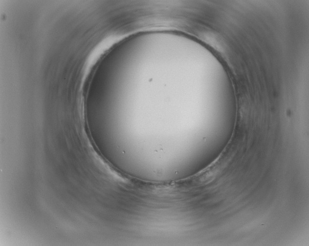 X0000060761472200511241716