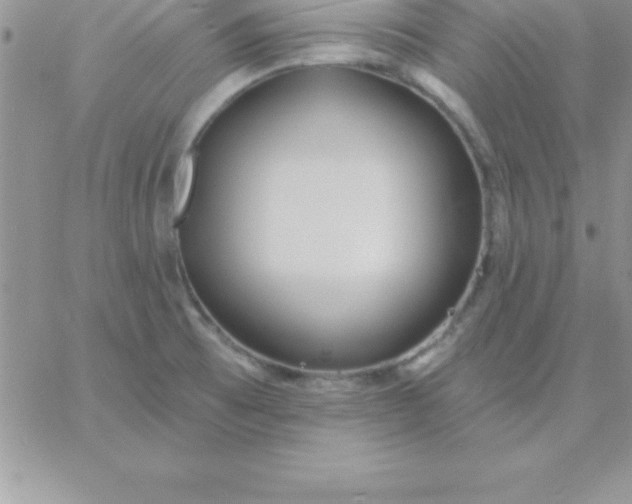 X0000060761473200511241716