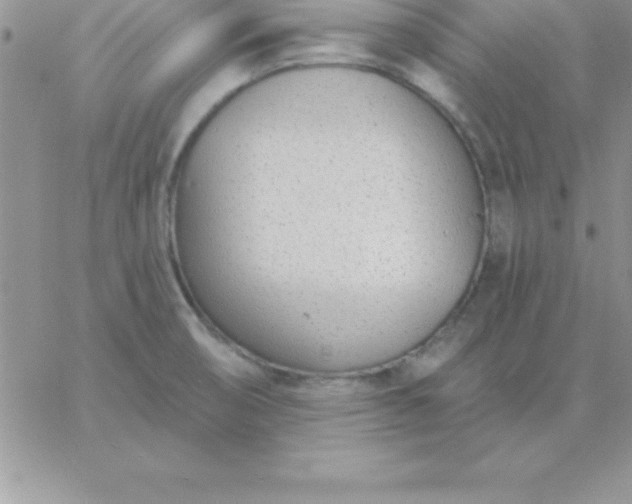 X0000060761474200511241716