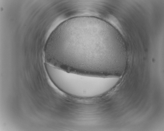 X0000060761476200511241716