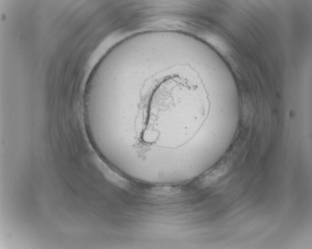 X0000060761478200511241716