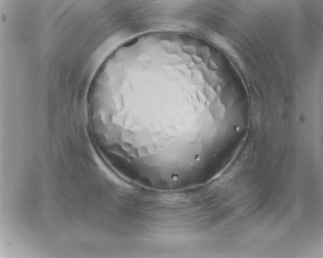 X0000060761479200511241716