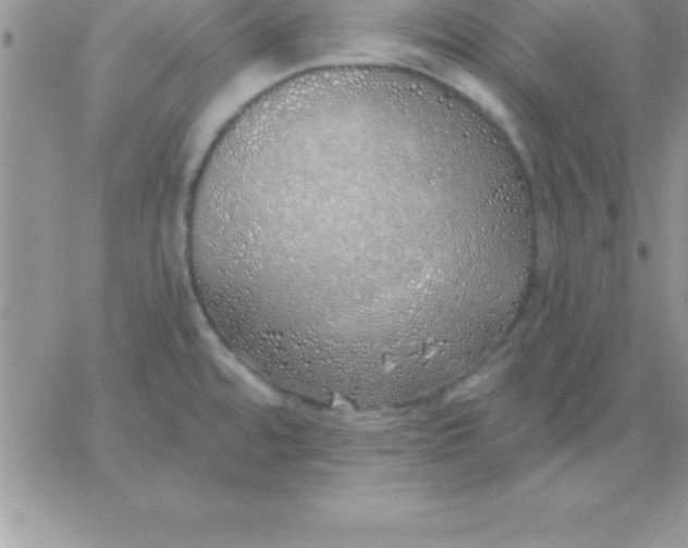 X0000060761480200511241716