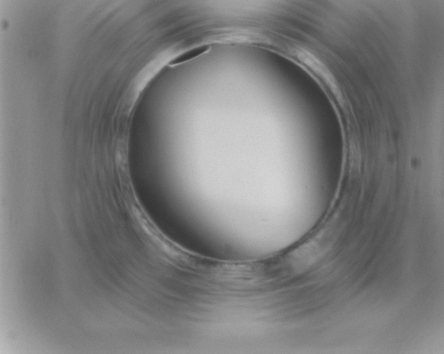 X0000060761481200511241716