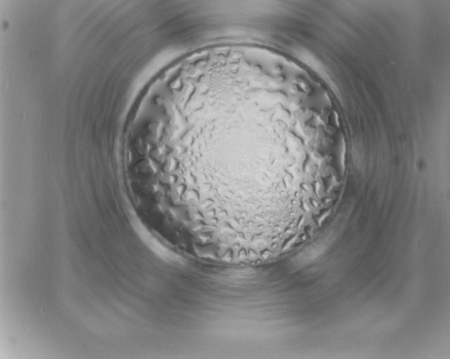 X0000060761482200511241716