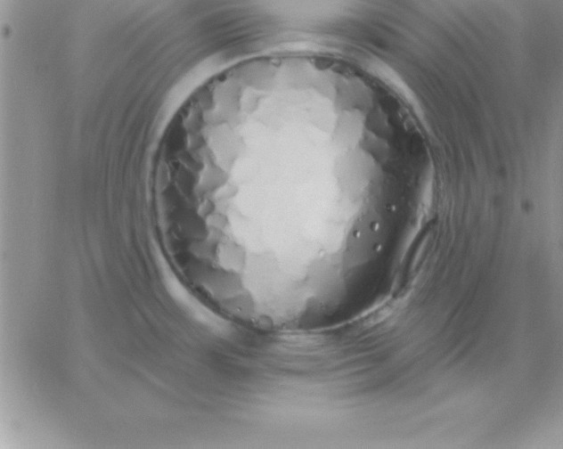 X0000060761483200511241716