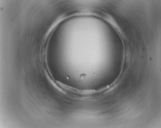 X0000060761484200511241716