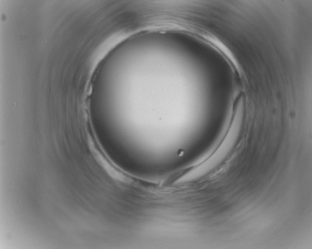 X0000060761485200511241716