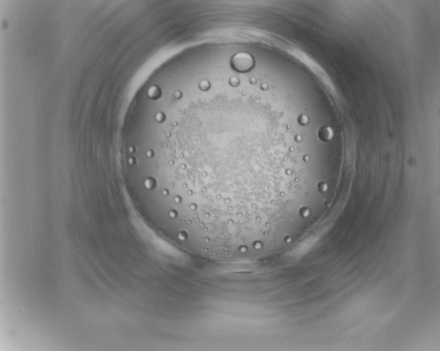 X0000060761486200511241716