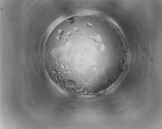 X0000060761487200511241716