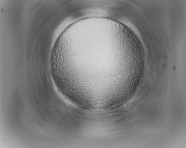 X0000060761488200511241716