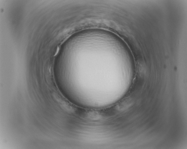 X0000060761489200511241715